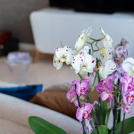 Appartement Romantic Getaway In *